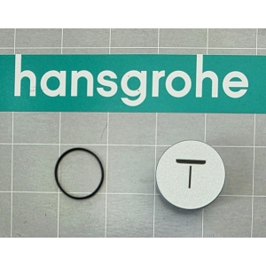 HANSGROHE ShowerTablet Select Przycisk 98367000 Symbol deszczownica centralna - 1 szt